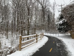 promenade après la neige